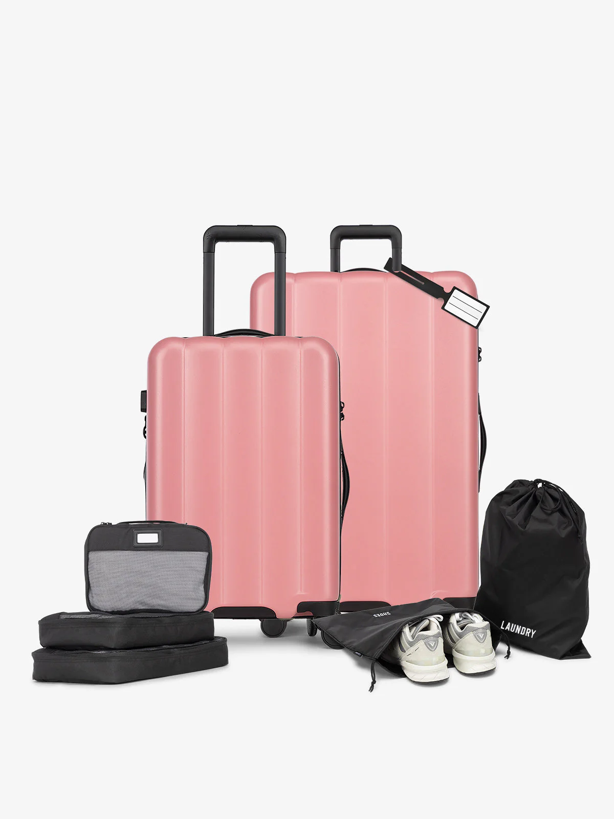 Evry Starter Bundle - Image 11