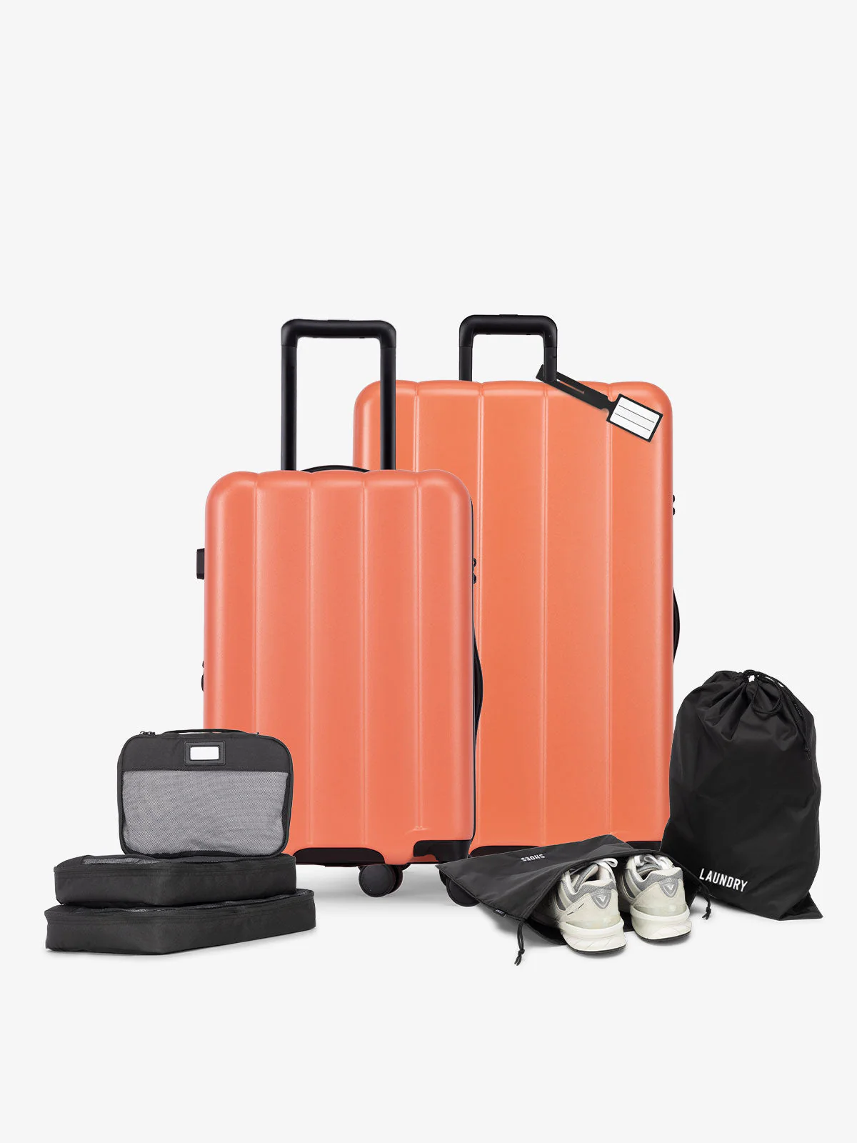 Evry Starter Bundle - Image 48