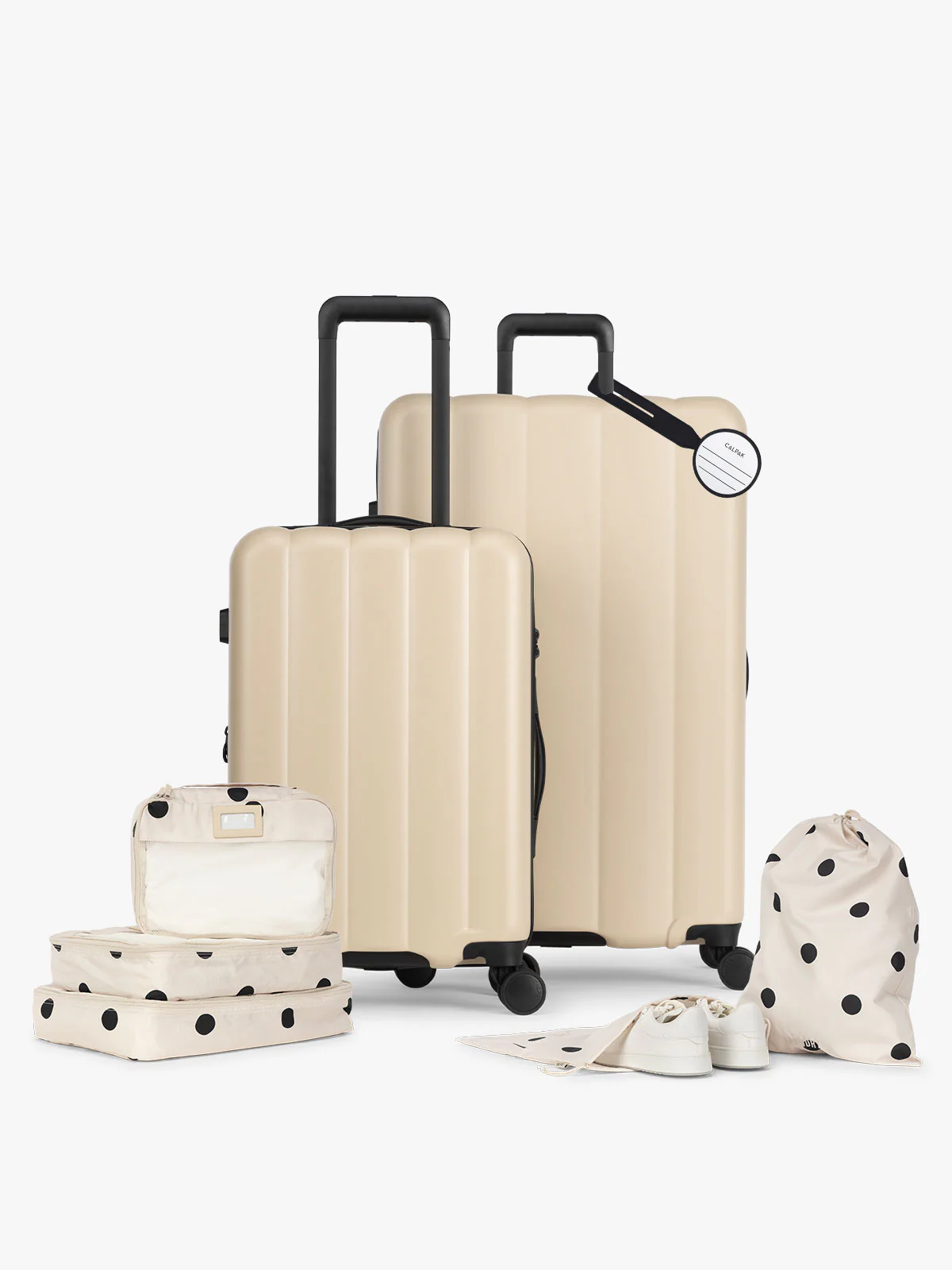 Evry Starter Bundle - Image 68